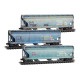 N Union Pacific® ex-SSW ex-GWS Weathered 3-Pack