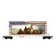 PRE ORDER: N 250th Anniversary of the United States of America Series