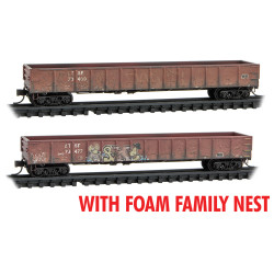 ATSF weathered 2-Pack - Rel. 11/22