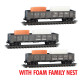 D&RGW weathered  w/Tunnel Forms 3pk FOAM MSRP $84.95 - Rel. 3/24